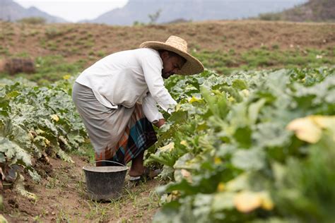 Agriculture .